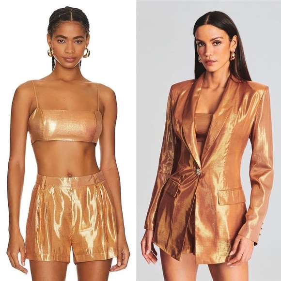 NWT RETROFETE Set Silk Metallic Chiffon High Waist Pleated Short & Bra Top XL - Picture 5 of 16